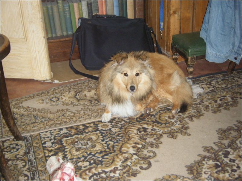 Pictures Weekend Away 508